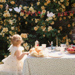Konges Sløjd A/S BIRTHDAY multi