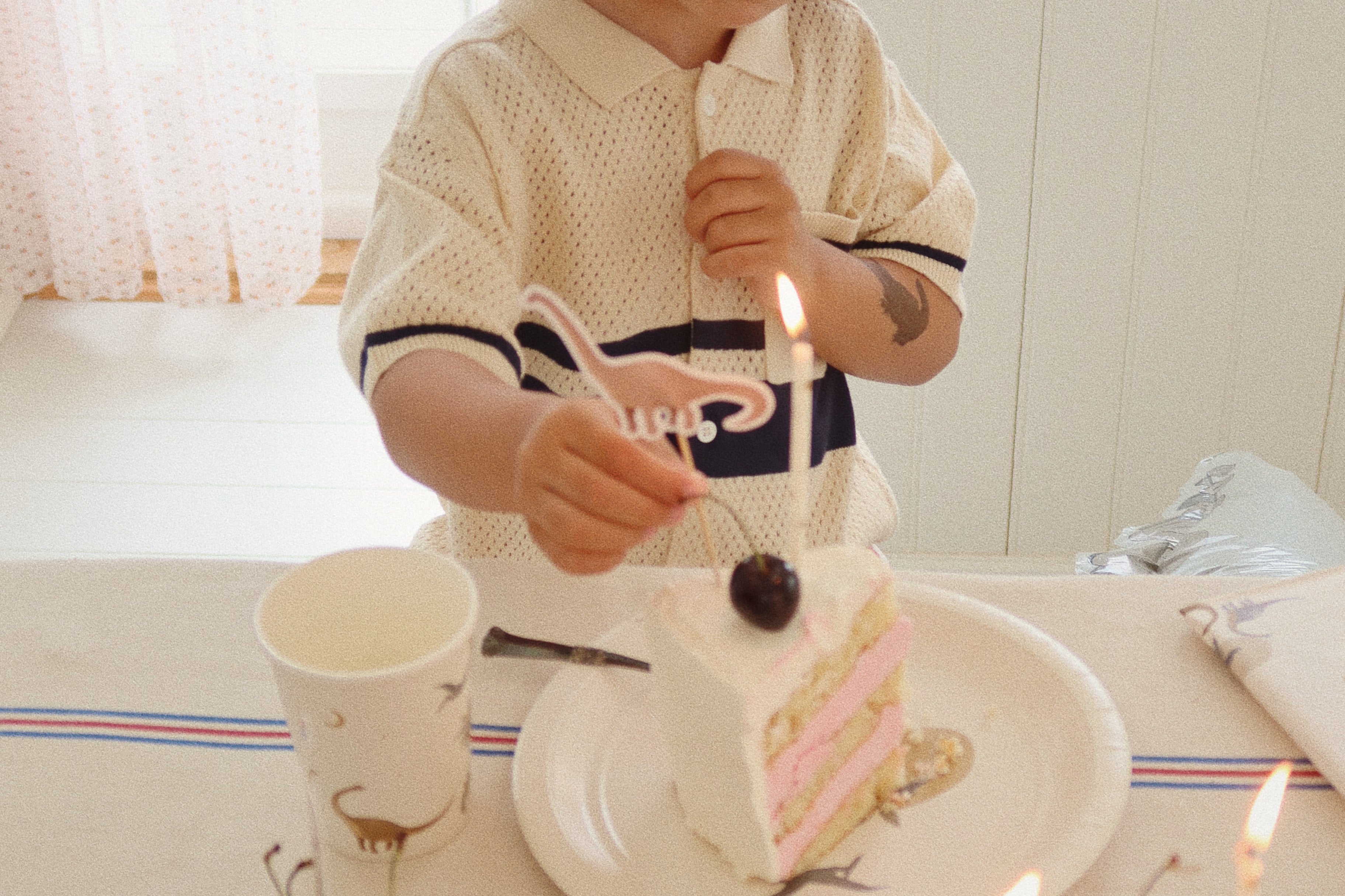 Konges Sløjd A/S BIRTHDAY dino