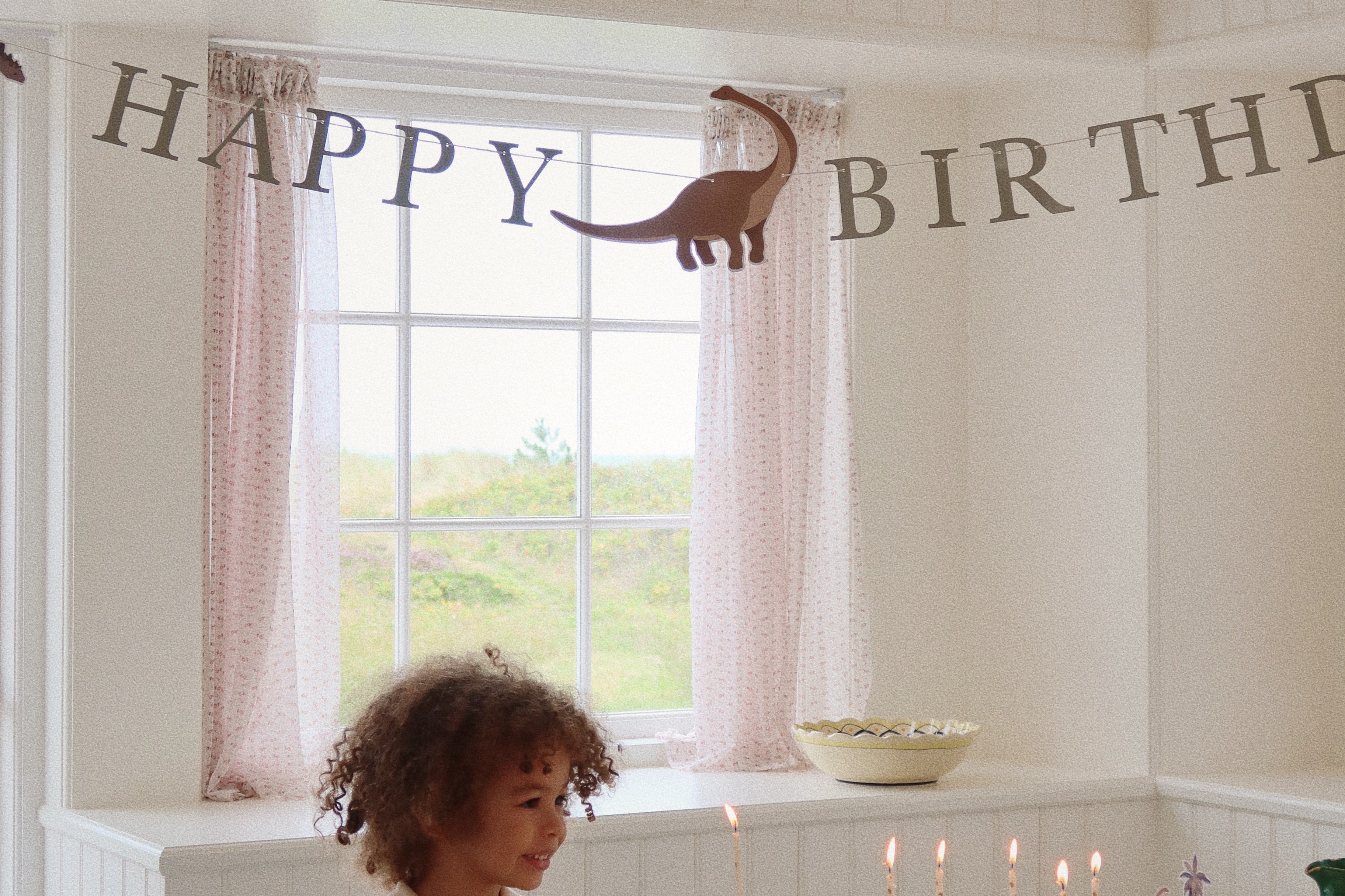 Konges Sløjd A/S BIRTHDAY dino