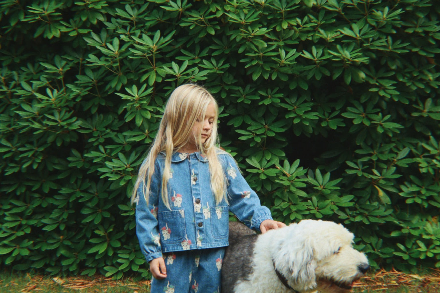 Konges Sløjd A/S WOVEN PANTS bow kitty denim